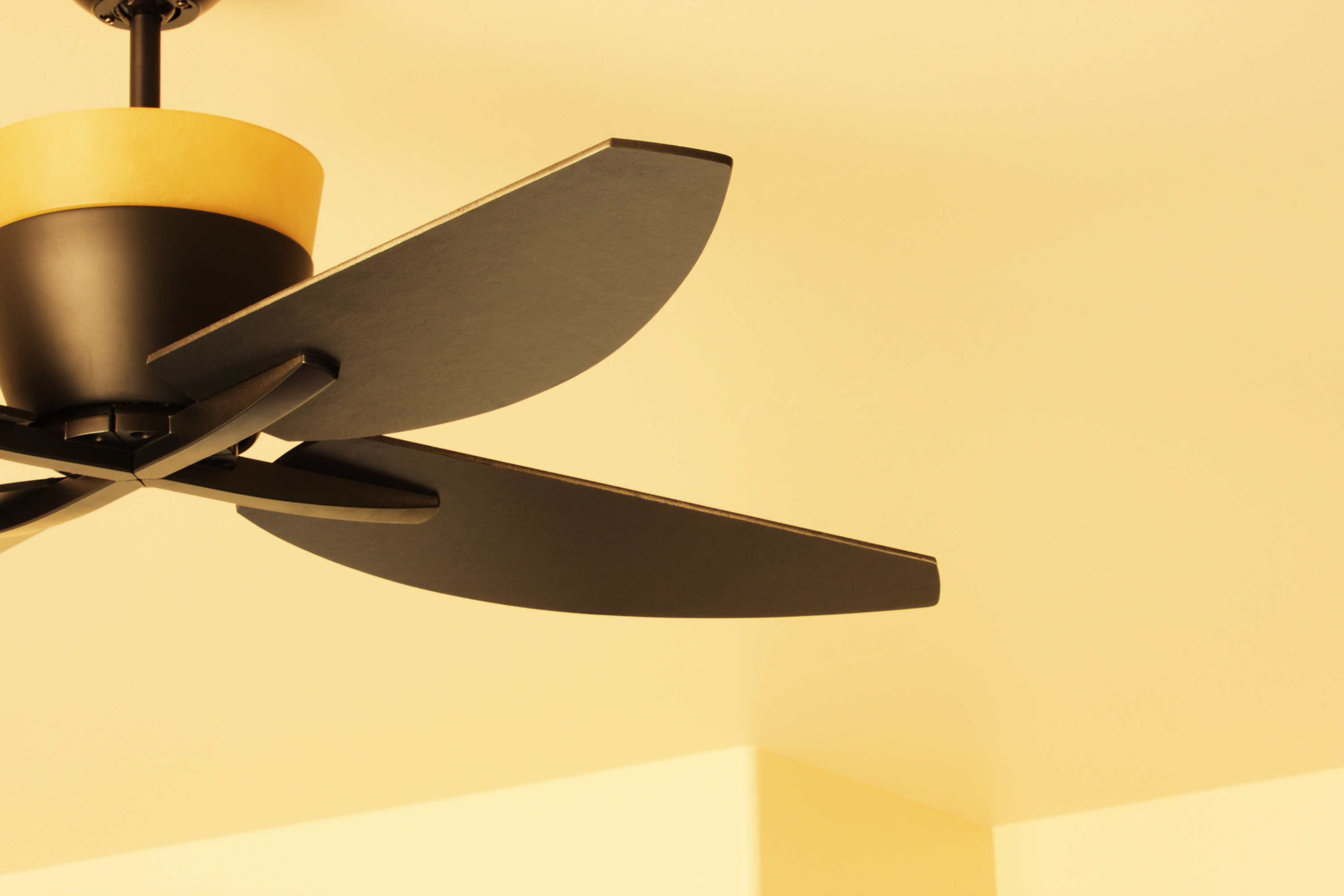 Electricians in Tampa completing ceiling fan installation